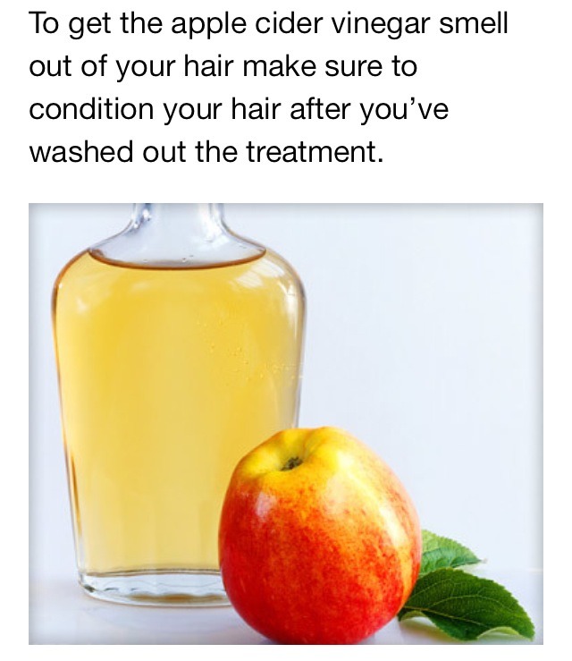 💁3⃣ DIY Hair Masks For Natural Healthy Hair!💁