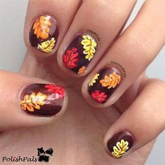 Fall leaves 
