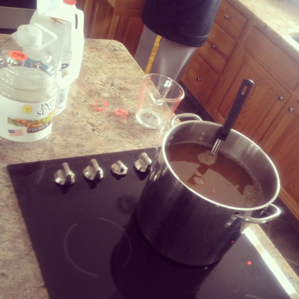 Add all ingredients into a large pot and bring to a boil.
Stir occasionally
Once boiling begins remove cinnamon sticks and let boil for 10-15 minutes.