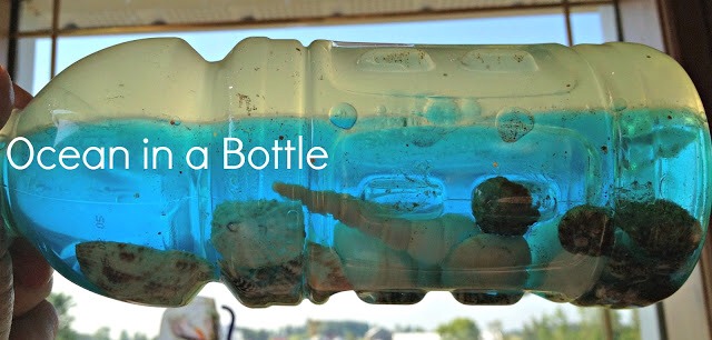 Make sure to was sand first otherwise it will cloud water. Use any bottle you wish. Enjoy. Kids will love it. Just put a little bit of oil in.