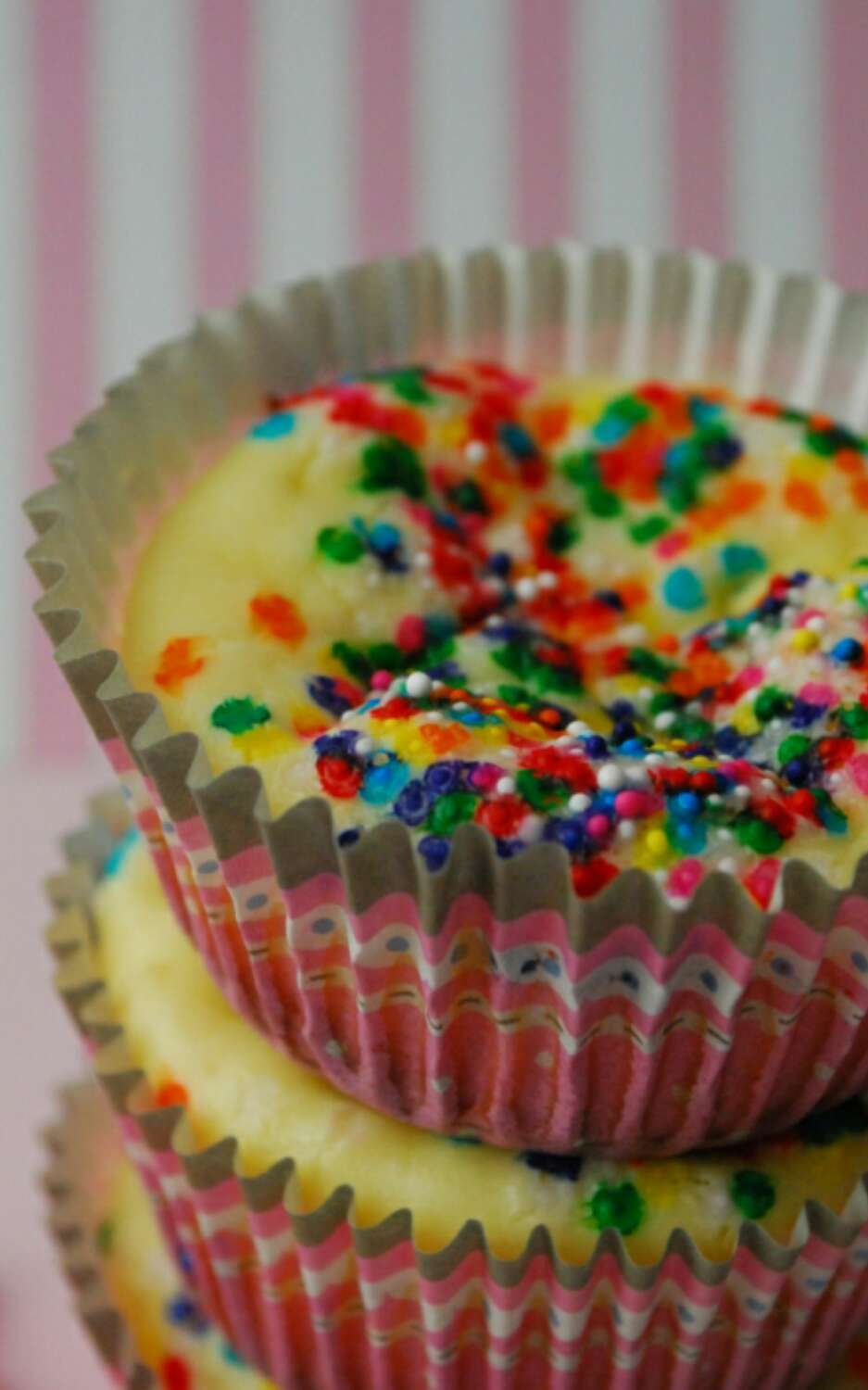 Animal Cookie Mini Cheesecakes!!!