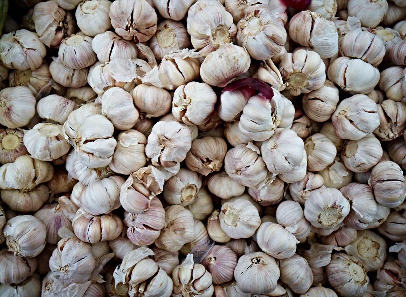 And some garlic