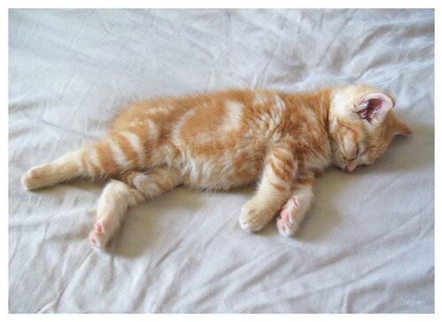 Get enough sleep each night! That means 7-10 hours each night. 