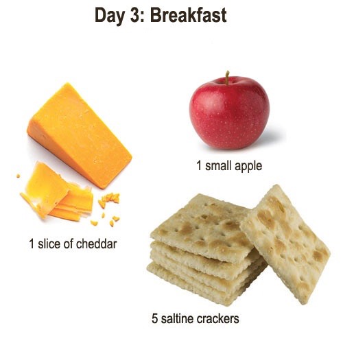 Substitutes 

Cheddar Cheese:
Eggs, cottage cheese, ham, soy cheese, soy milk, cabbage or tofu
Saltine Crackers: Rice cakes or any other cracker with equal calorie value (13 cal per cracker)
Apple: plums, peaches, grapes, zucchini, pears or dried apricots 
 
