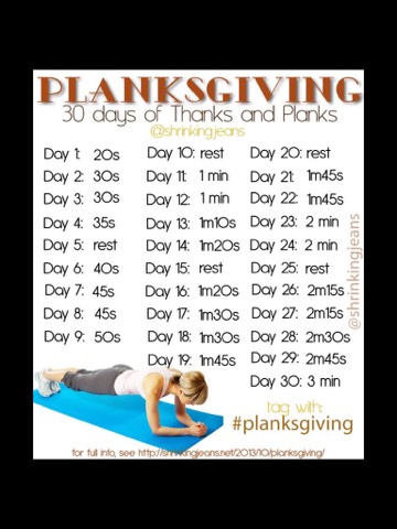 Full Body 14 Day Challenges
