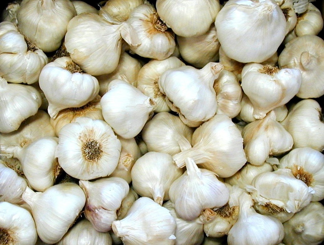13 Things That Garlic Helps 