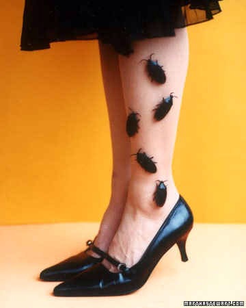 Glue some fake realistic bugs to your stockings for a easy Halloween costume👹😈