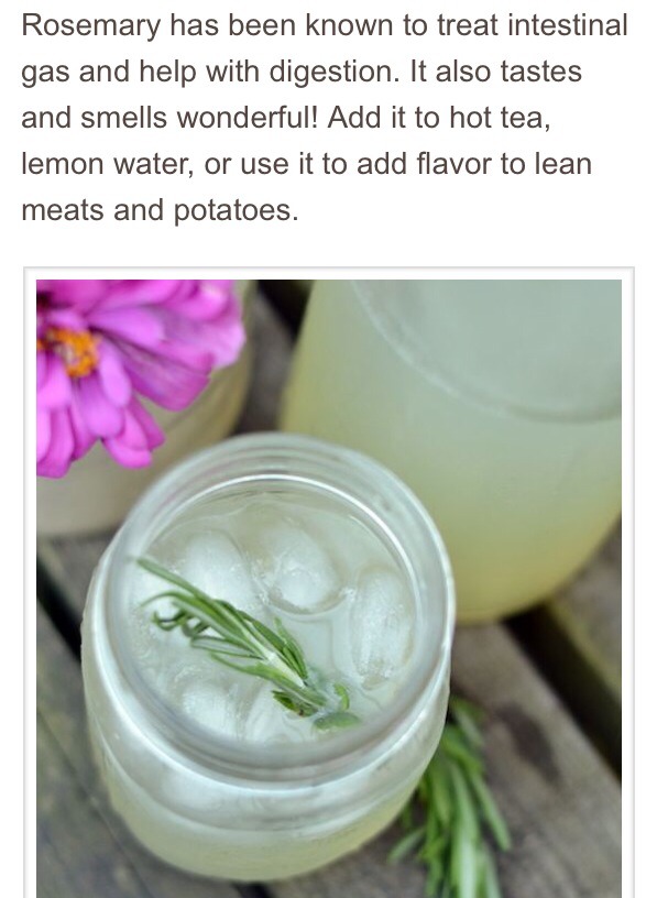 Flat Belly Foods
