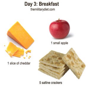 5 saltine crackers
1 slice of cheddar cheese
1 small apple