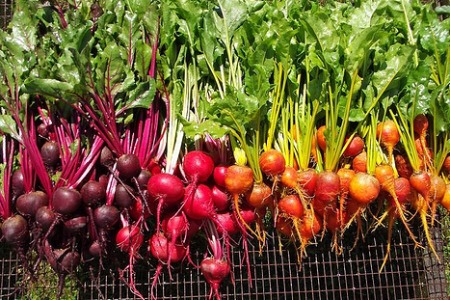 Beets are extremely nutritious and have a low glycemic index in spite of their sweetness. This is one of several vegetables that is actually healthier when eaten steamed (not boiled) or roasted instead of raw.