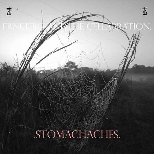 Stomachaches by frnkiero and the cellabration 