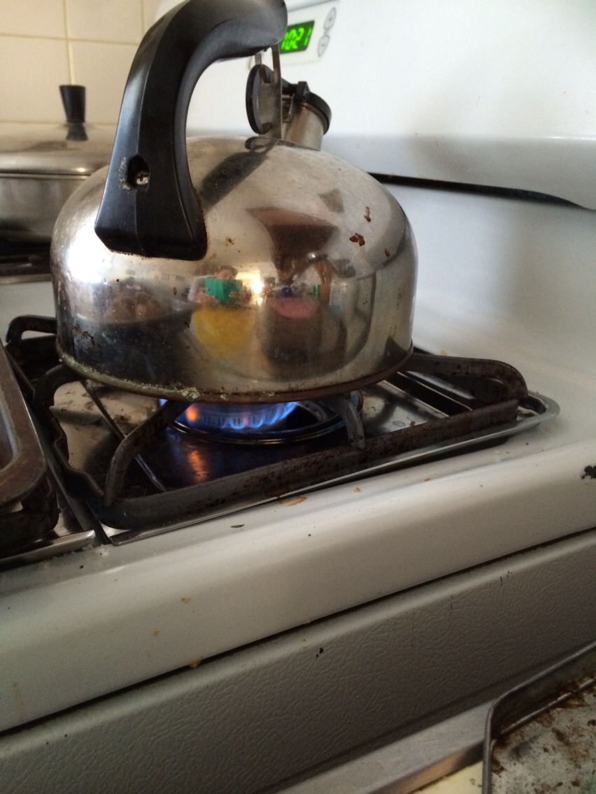 Every morning, fill the tea kettle, put it on a burner at high-heat, and set the kitchen timer to 3 minutes (the time will vary depending on the amount of water in your kettle as well as your stove, but the water should be warm – slightly warmer than body temperature, but not hot).