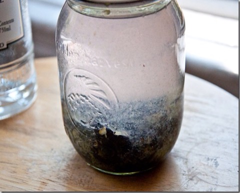 Use a fork to mash up the berries in the bottom. Put on the lid and store in the fridge for at least 12 hours to allow the blueberries to infuse into the vodka.The vodka will turn cloudy right away, and will become purplish the longer it infuses.