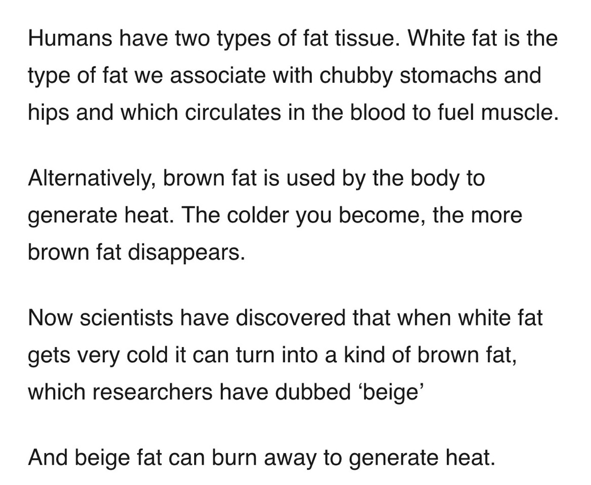 New Research Shows That Cold Ice Packs Helps In Weight Loss😱