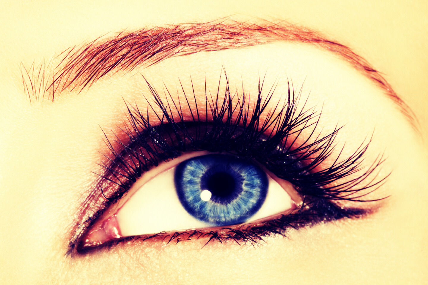 In the morning just put your mascara on like you normally would and you will notice the difference right away! 