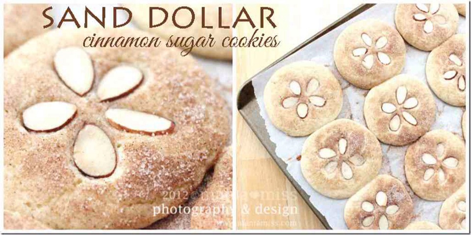 💙ADORABLE!!!(: Sand Dollar Cinnamon Sugar Cookies!!!!(: 💙