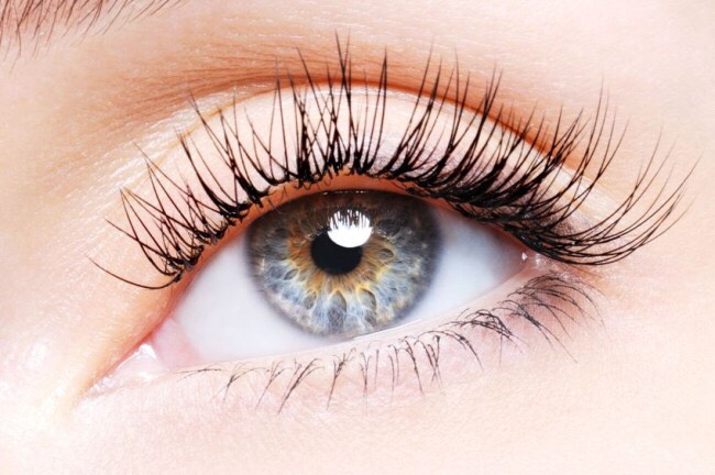 Eyelashes