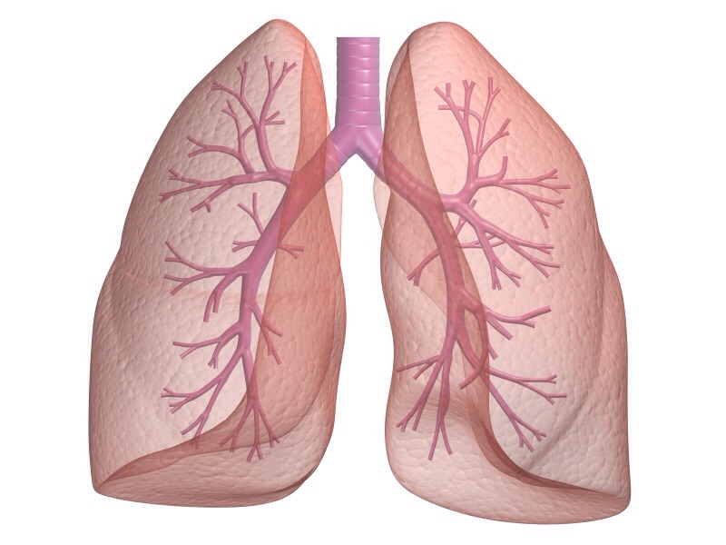 Shortness of breath: Have you noticed you're out of breath by just going up 1 flight of stairs? Now that you have another someone to share your body with, you now have to share you oxygen too. It may take time to get used to. 