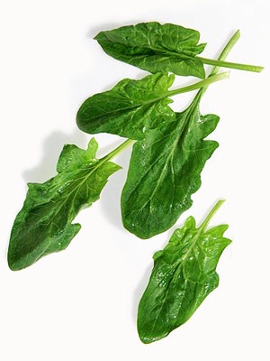 🍏Top 🔟 Healthiest Foods On The Planet - Must See! 🍏
