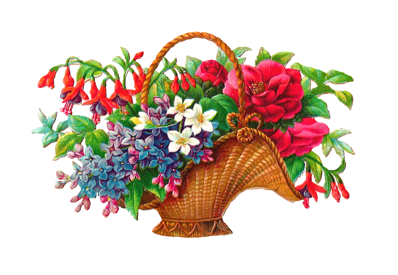 favorite flowers