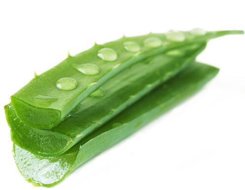 ALOE OIL

Everyone knows aloe is a great healing agent, but did you know it's moisturizing as well? Aloe is a great addition to any routine or mixture, and pure oil or gel is great for healing scars. 

JOJOBA OIL

A wax rather than an oil, jojoba is great at clearing scalp buildup as well.
