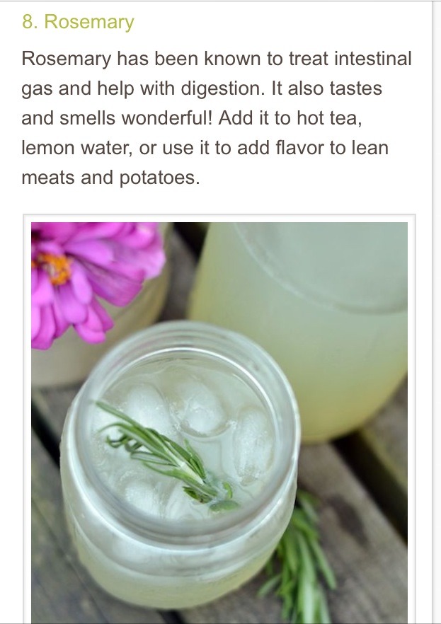 Top 10 Flat Belly Foods 👙