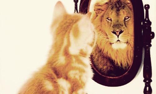 BE CONFIDENT!