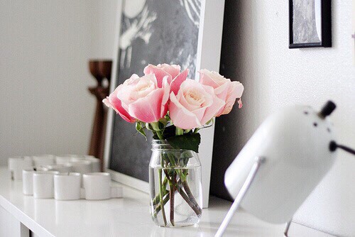 Rose Quart Inspired Decor #PantoneContest