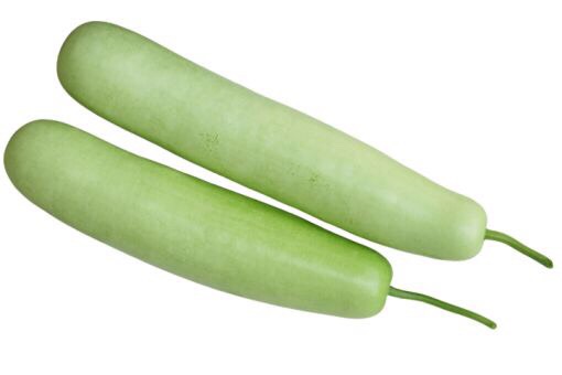 9- Bottle Gourd:

Grind bottle gourd and make fresh juice out of it. Consume it daily to get rid of excess fat in your body. You can also cook bottle gourd and eat daily. Do this continuously for two months to shed extra fat from your body. 