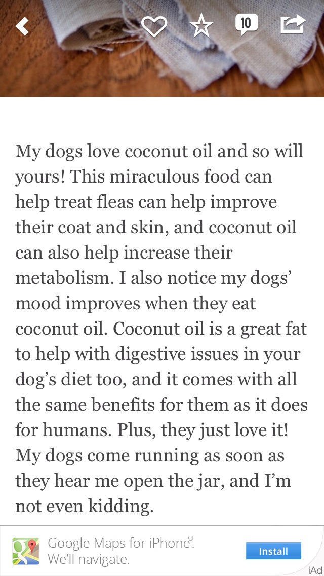 7 Puppy Friendly & Healthy Foods