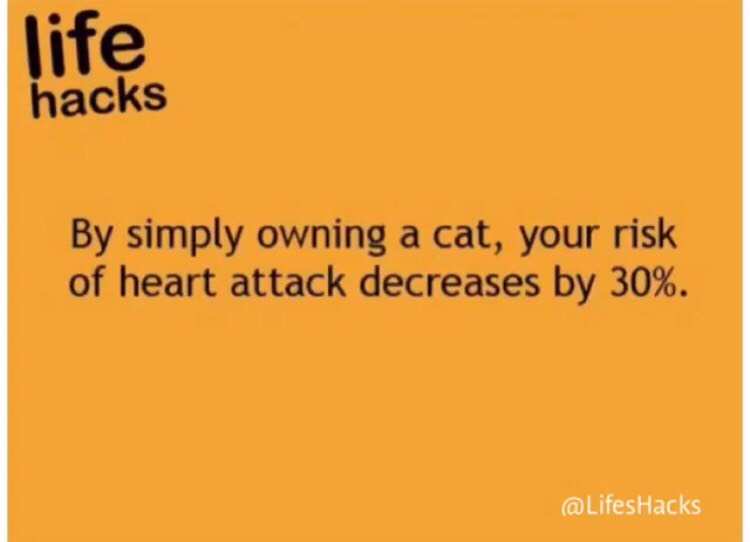 Simple Life Hacks