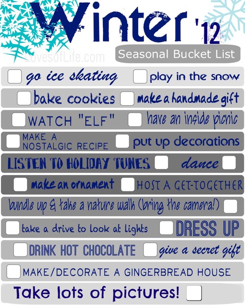 WINTER BUCKET LIST|2015-16