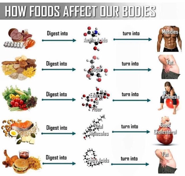 Fresh Food/ Fast Foods???? 