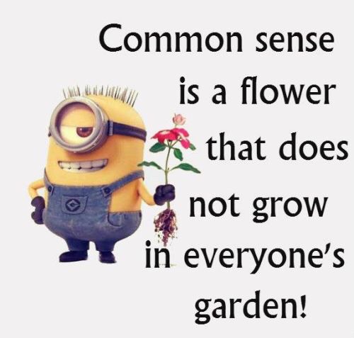 Minions Funny Quotes