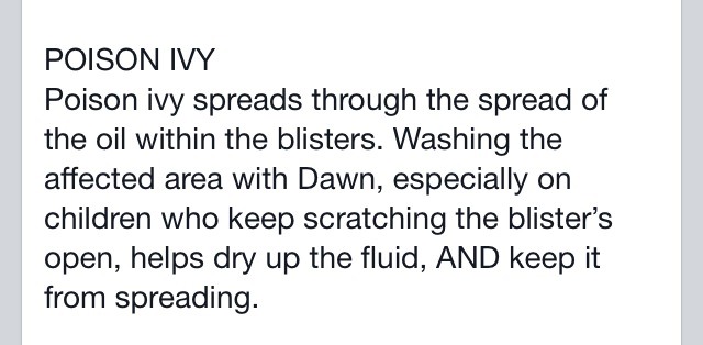 Dawn Dish Soap. Not Just For Washing Dishes Anymore!