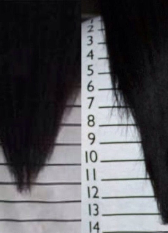 Here is an example of someones hair, which grew an inch in a week.