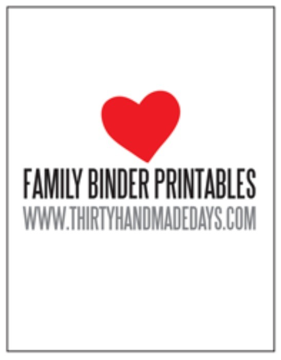 Great Idea For Organizing Everything Family Related, Babysitter Info, School Info, Bills, Etc...