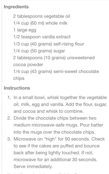 Two Minute Chocolate Mug Cake! 