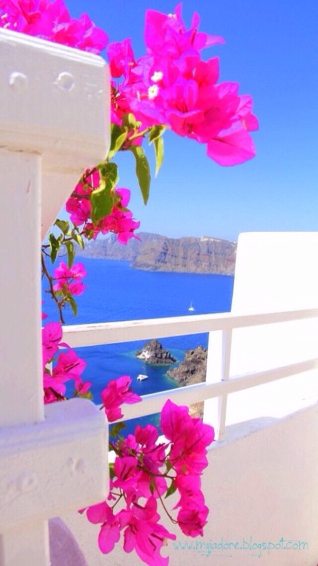 Colorful Wallpapers 