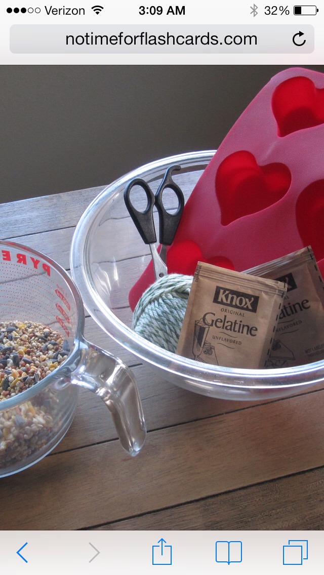 All Natural Bird Feeder Using Gelatin.