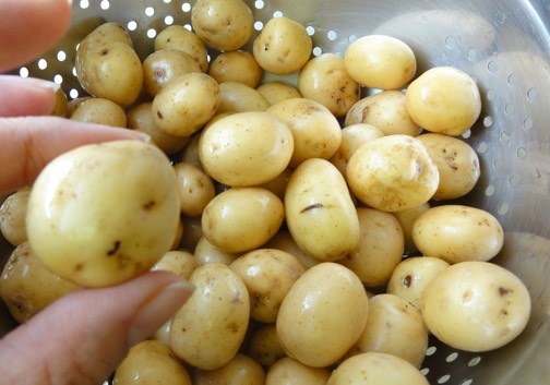 LITTLE POTATOES LOTTA TASTE