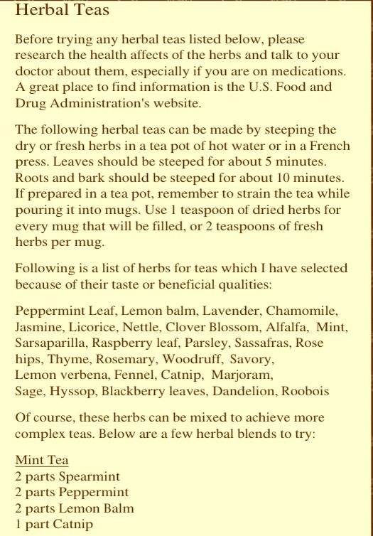 FALL FOOD AND DRINK RECIPES 🍂🍂