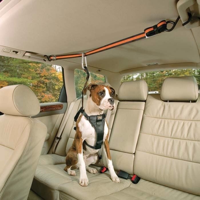 25. Tru-Smart Harness and Auto Zip Line
$17.99