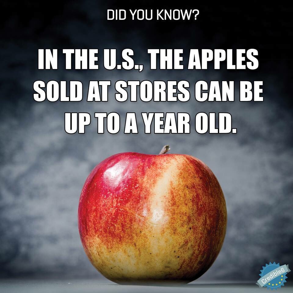 Fun Food Facts. 😊