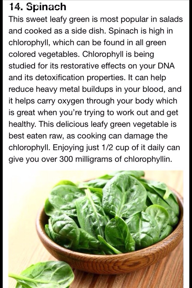 15 Super Food For Weight Loss!!!