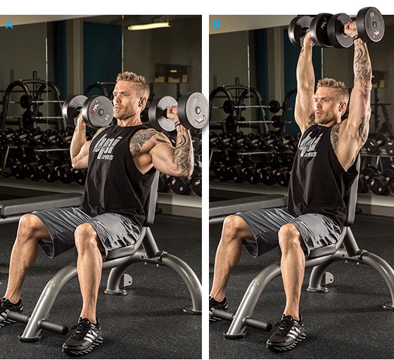 Full Body Work Out 
