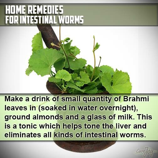 Natural Remedies, Something Or Other From Your Kitchen For Your Cure - Part 4 (Ayurveda)