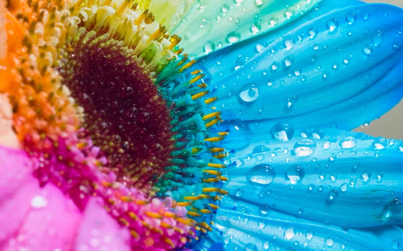 Colorful Wallpaper