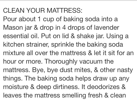 Clean Your Nasty Mattress ! 