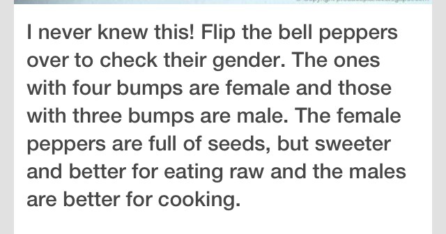 Check Your Peppers!!